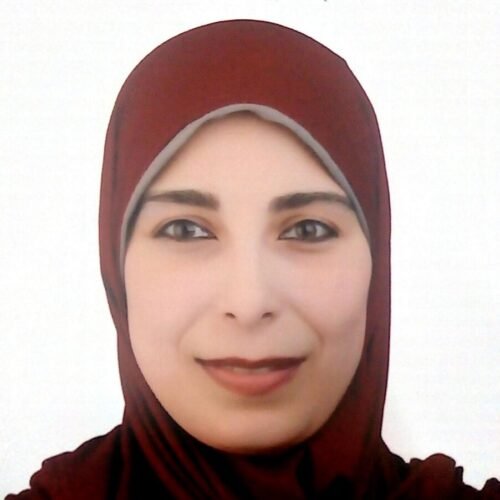 Dr Walaa Elgendy